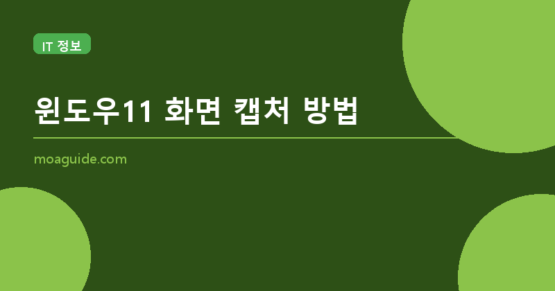 윈도우11 화면 캡처 방법 5가지 총정리 (2026년)